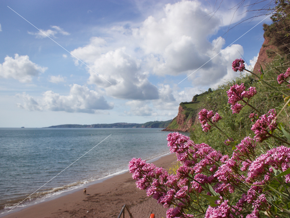 Photos of South Devon - Ness Cove Beach