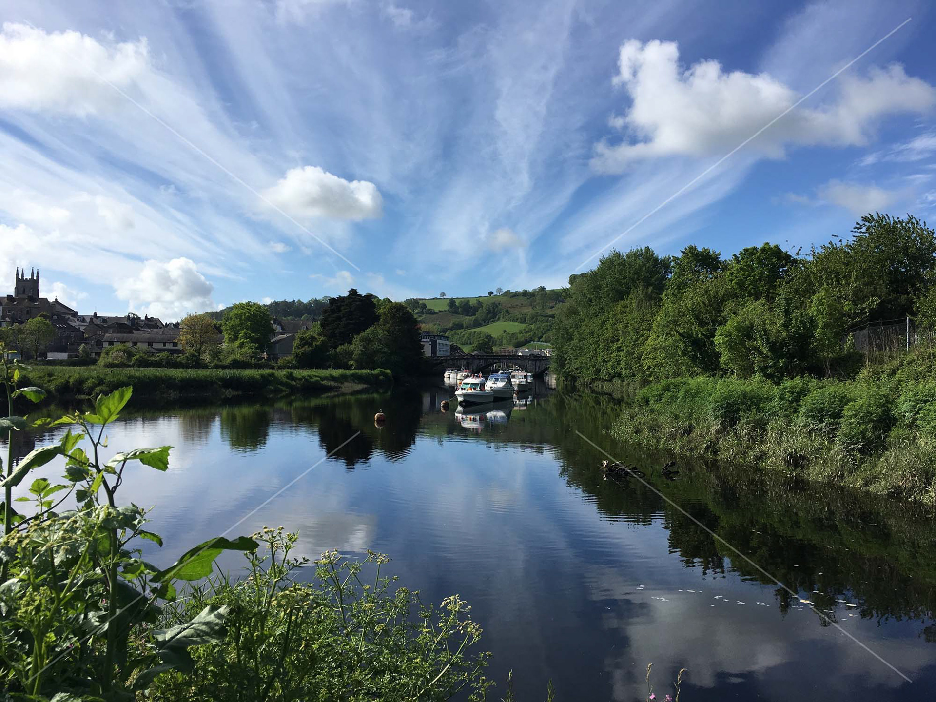 River Dart in Totnes