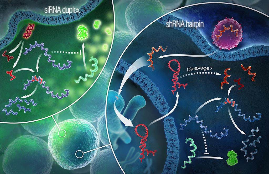 the dark side of RNAi technology