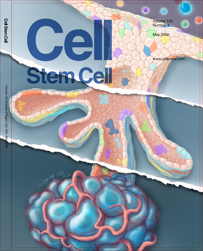 proposed cover for Cell Stem Cell