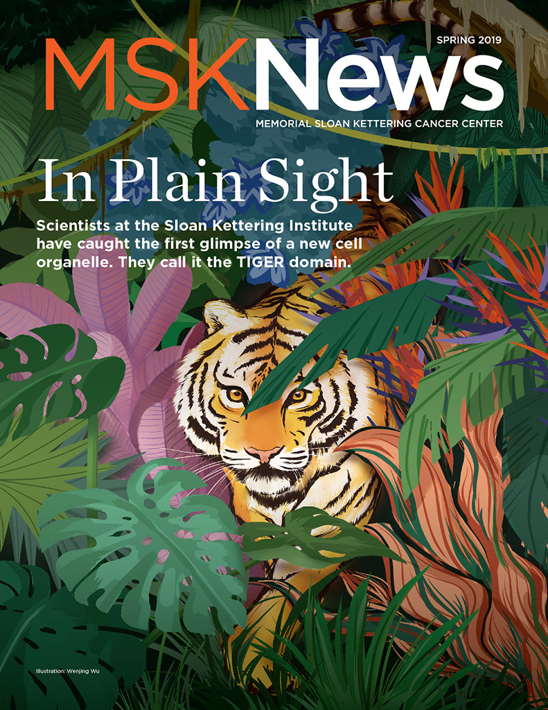 tiger in jungle editorial illustration