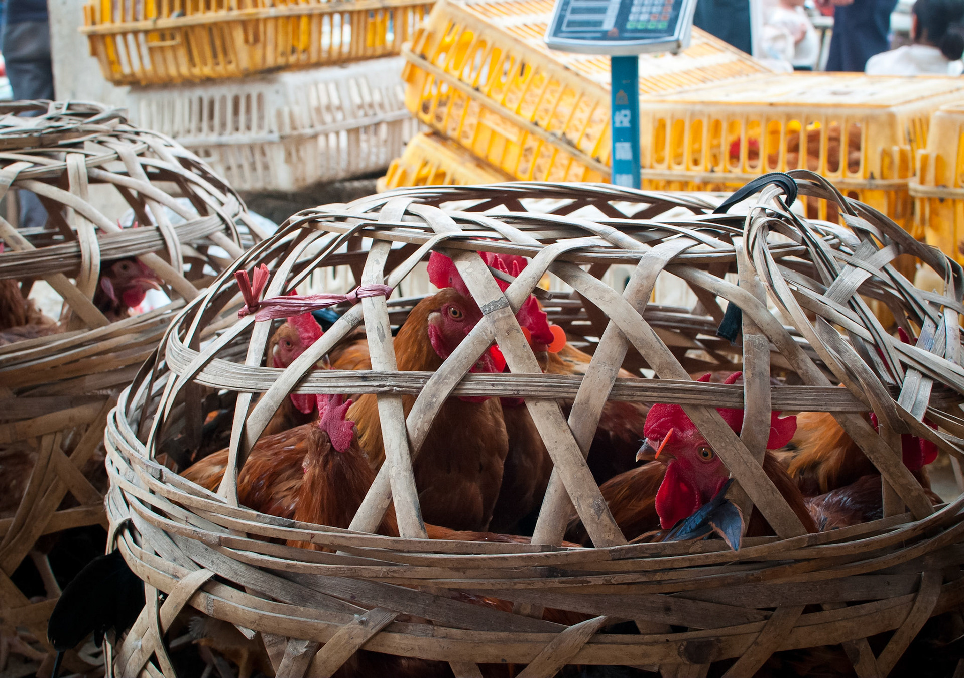 Farmers' Market in Xingping (Guanxi, China)