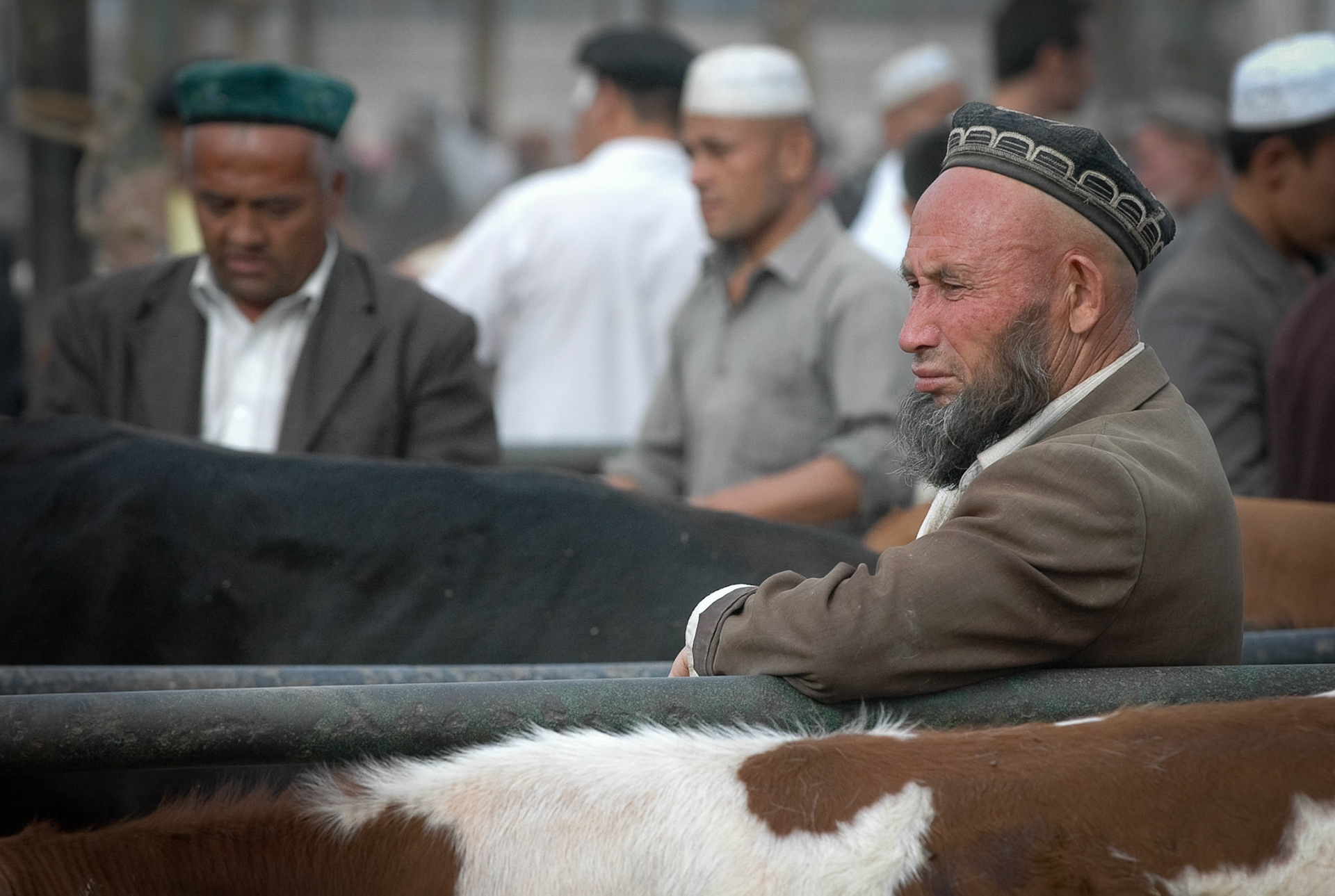 Farmer at Mal Bazaar (Kashgar, China)