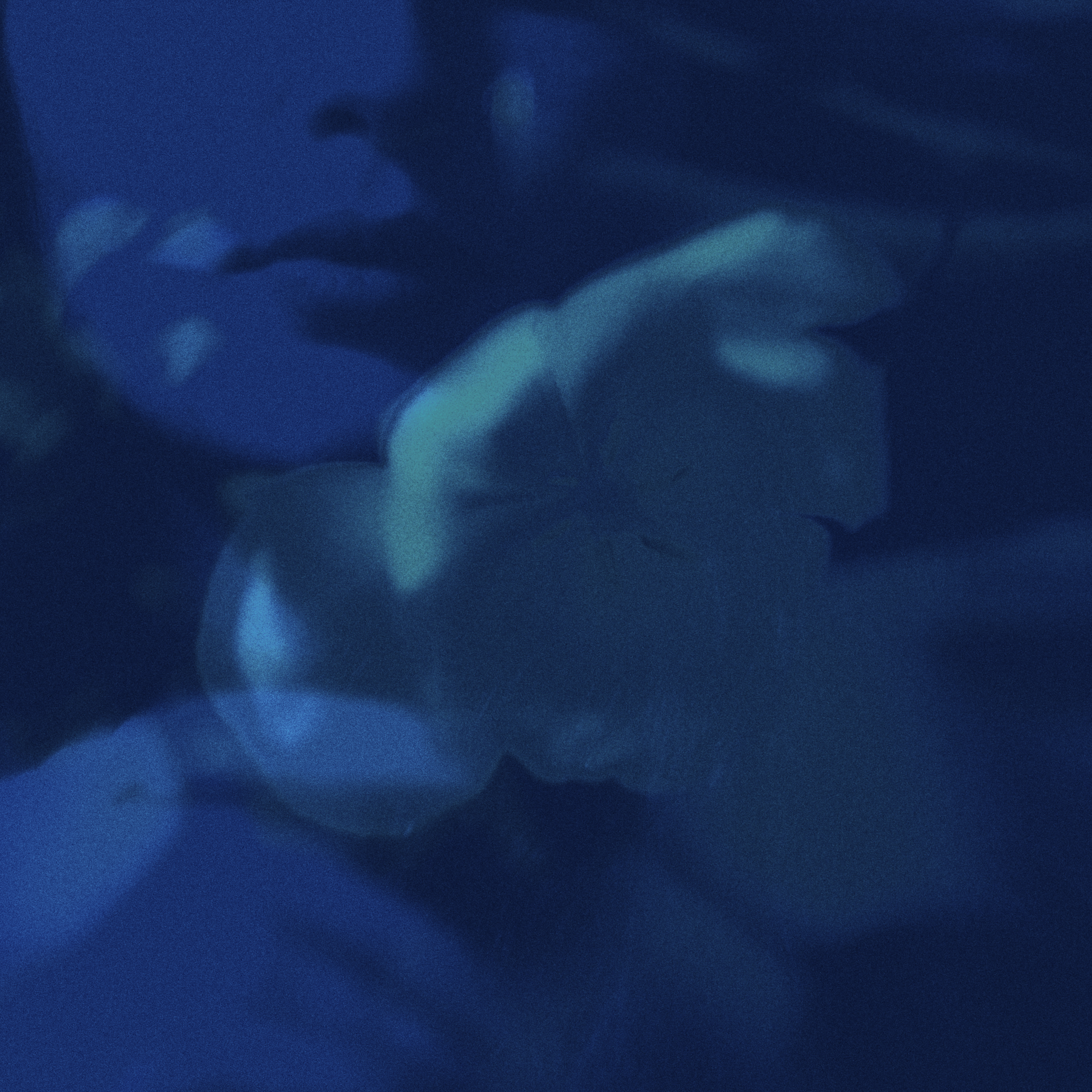 La femme à la peau bleue, Berlin, 2020