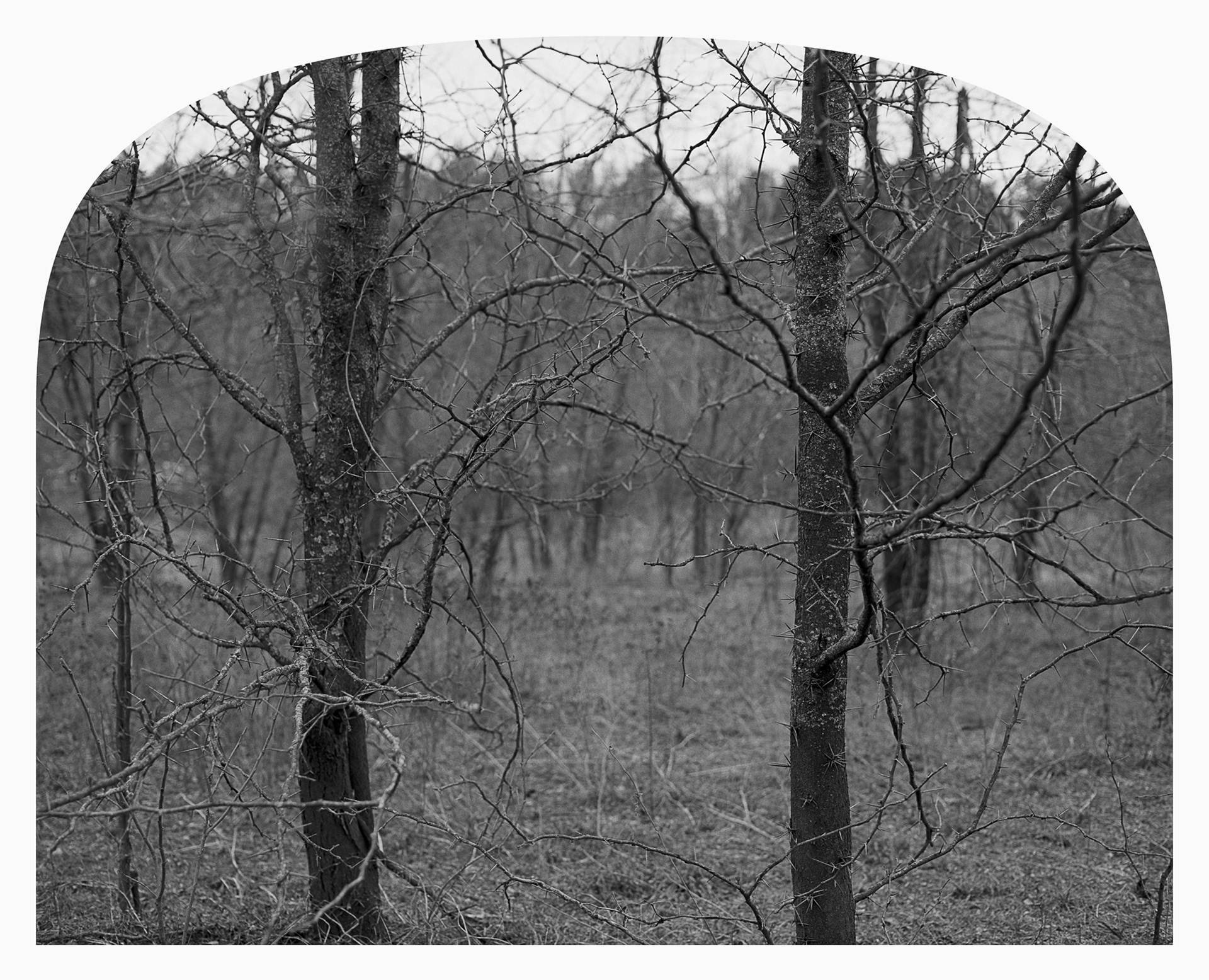 Dare, Randolph ORV Area, Kansas