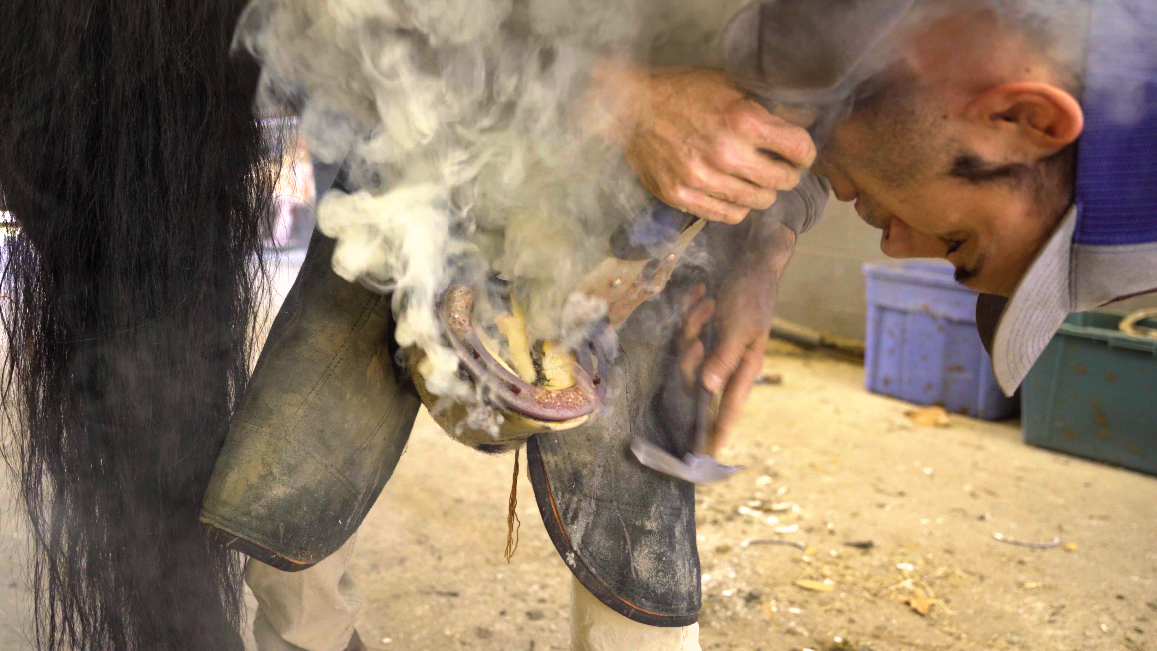 Farrier at Colonial Williamsburg