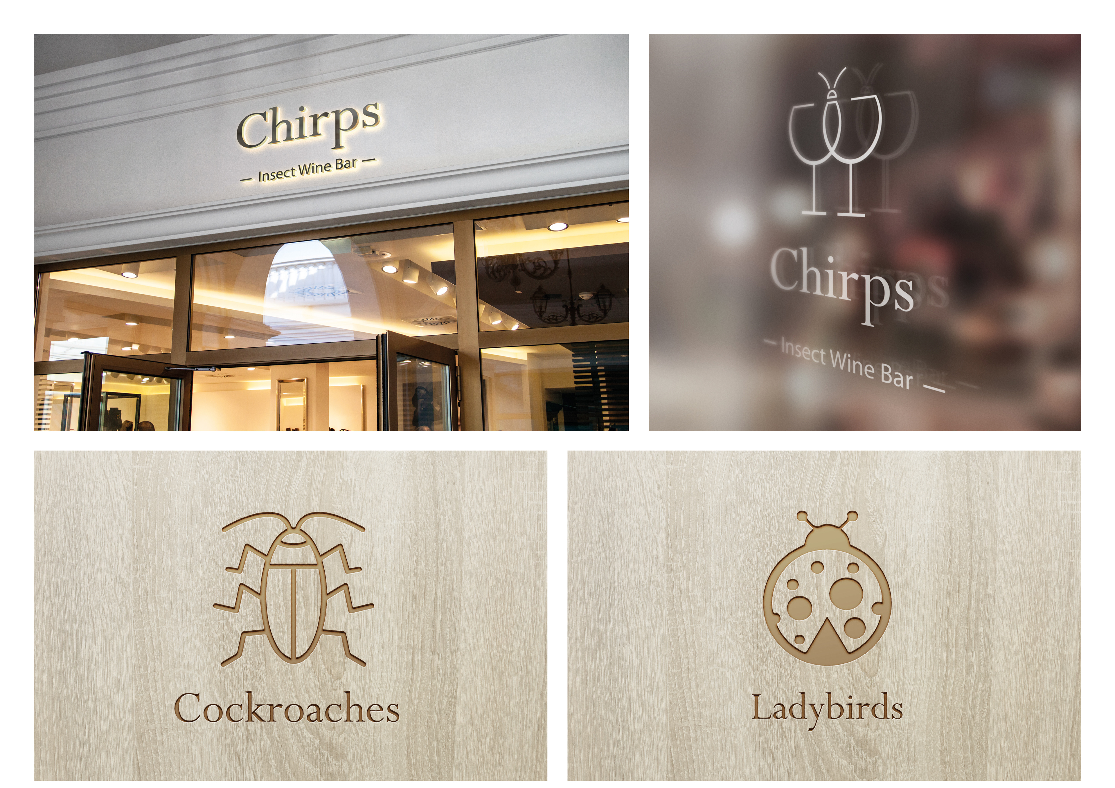 chirps insect wine bar way finding and signage by melissa carne freelance graphic designer in cornwall