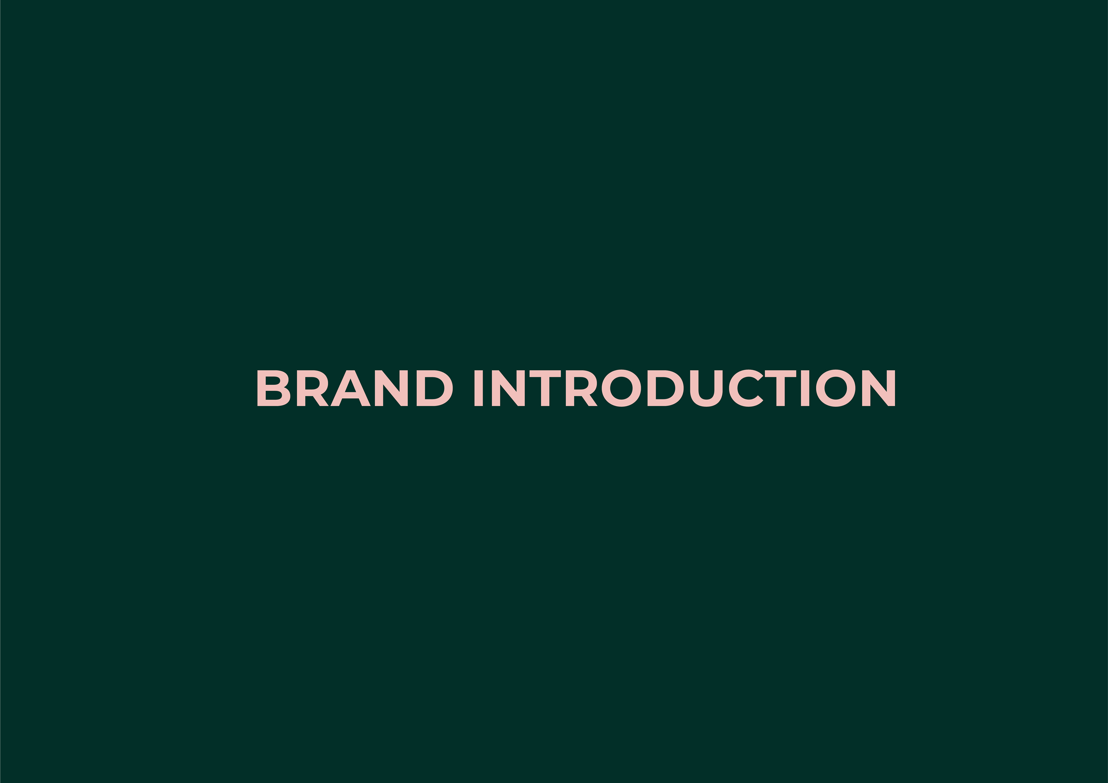 brand introduction guidelines for now and then a client of freelance graphic designer melissa carne