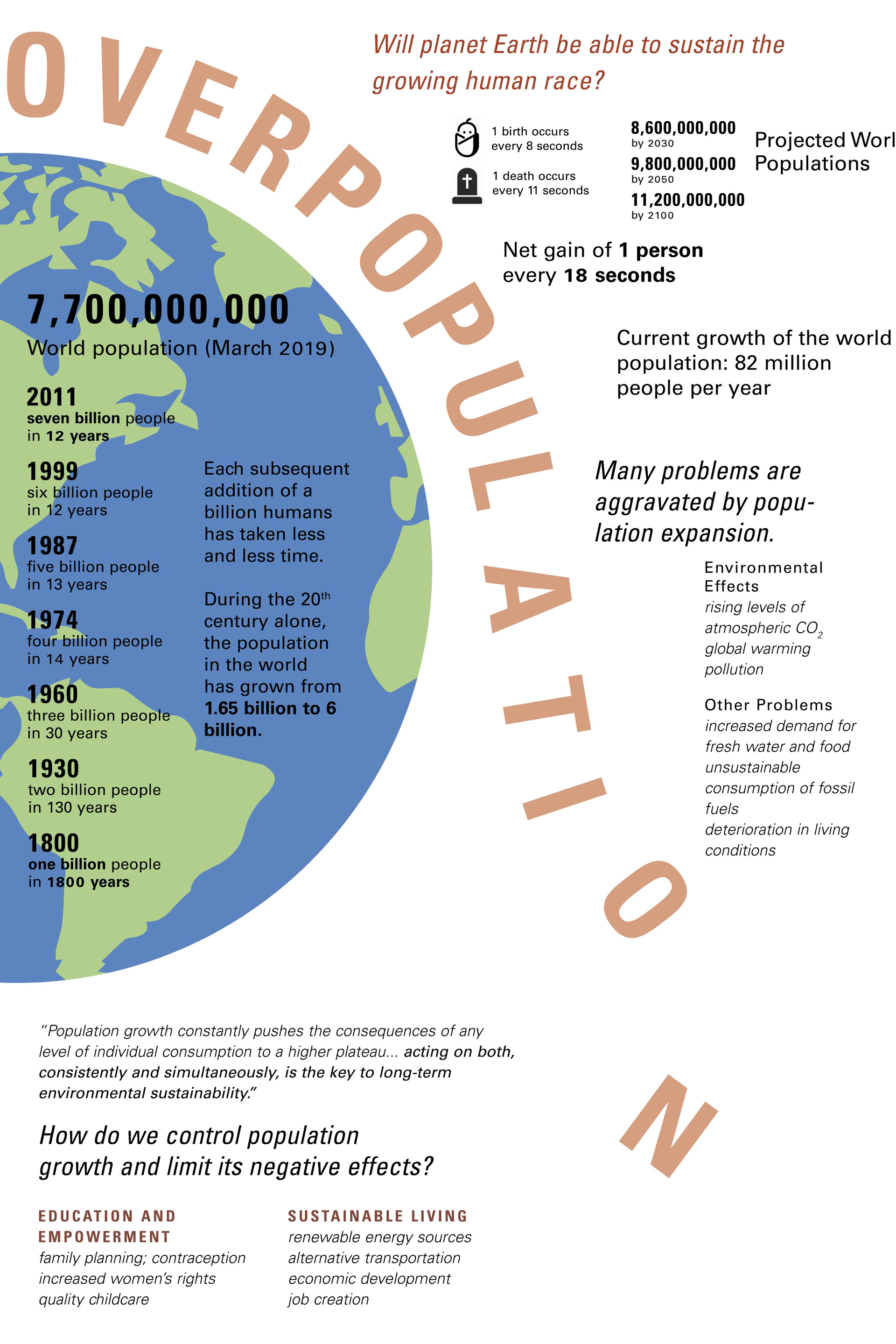 Anna Luu - Graphic Design Portfolio - Overpopulation Infographic