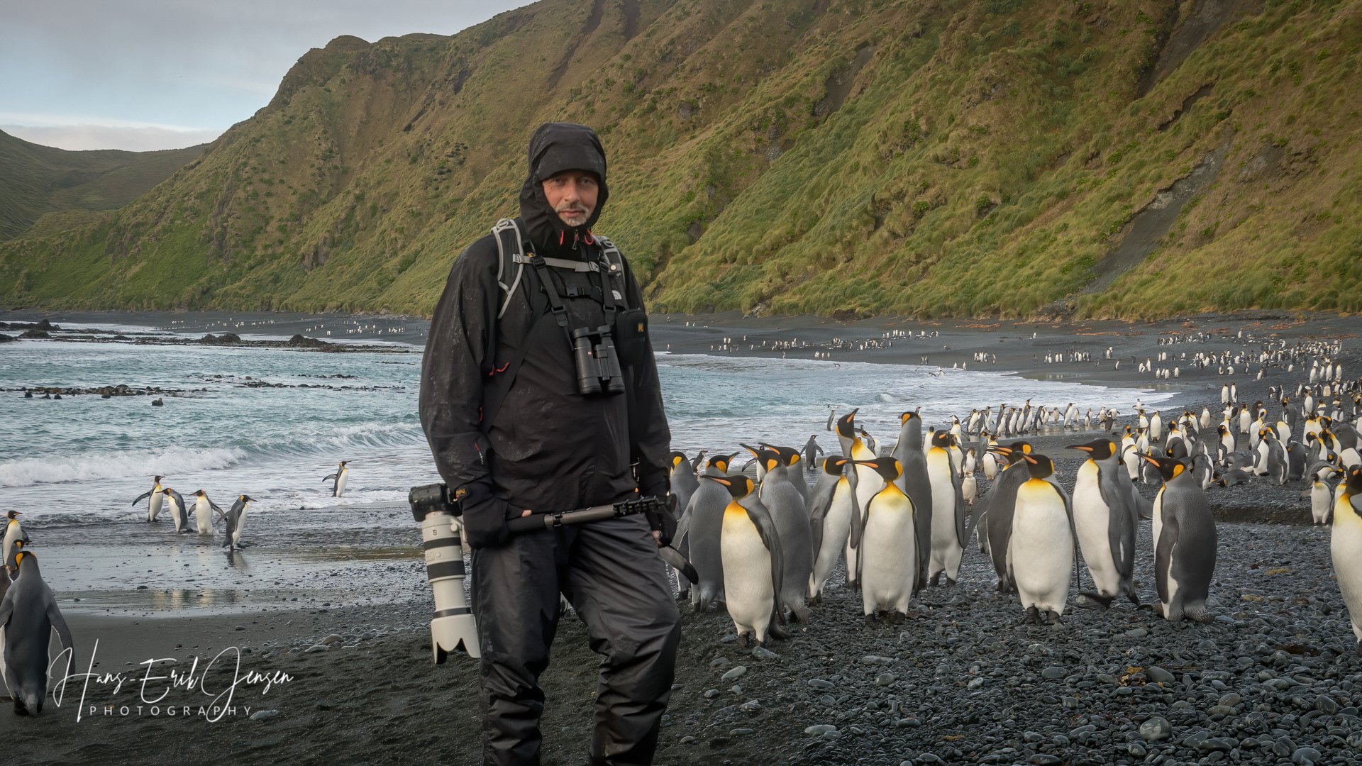 Macquarie Island, Southern Ocean, February 2017