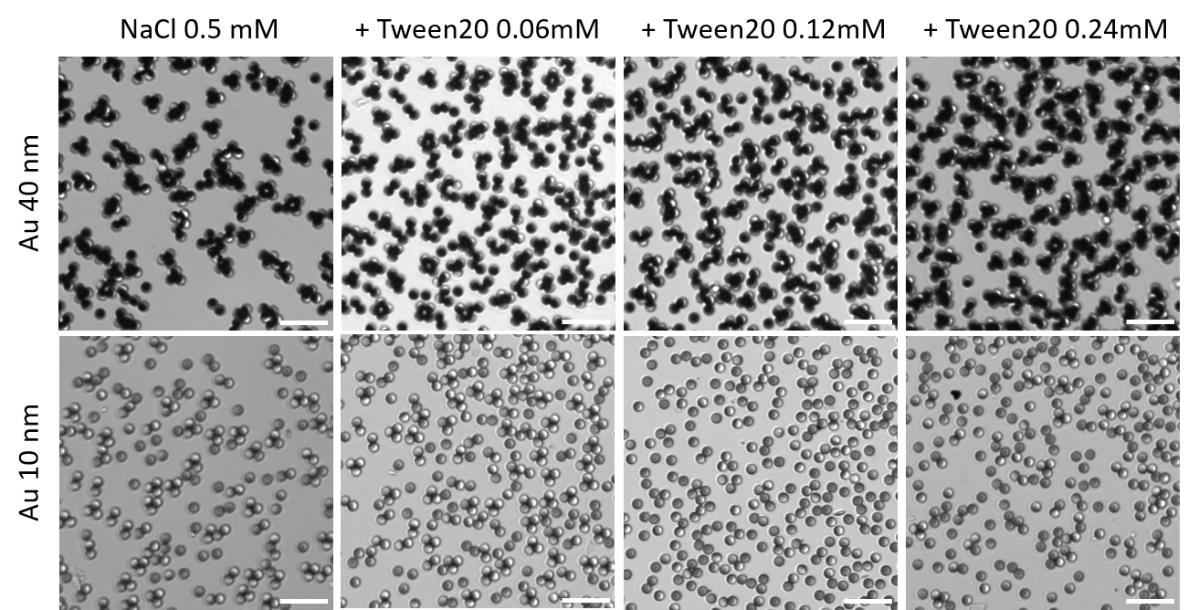 Cluster formation of Au-SiO2 Janus particles under different conditions.
