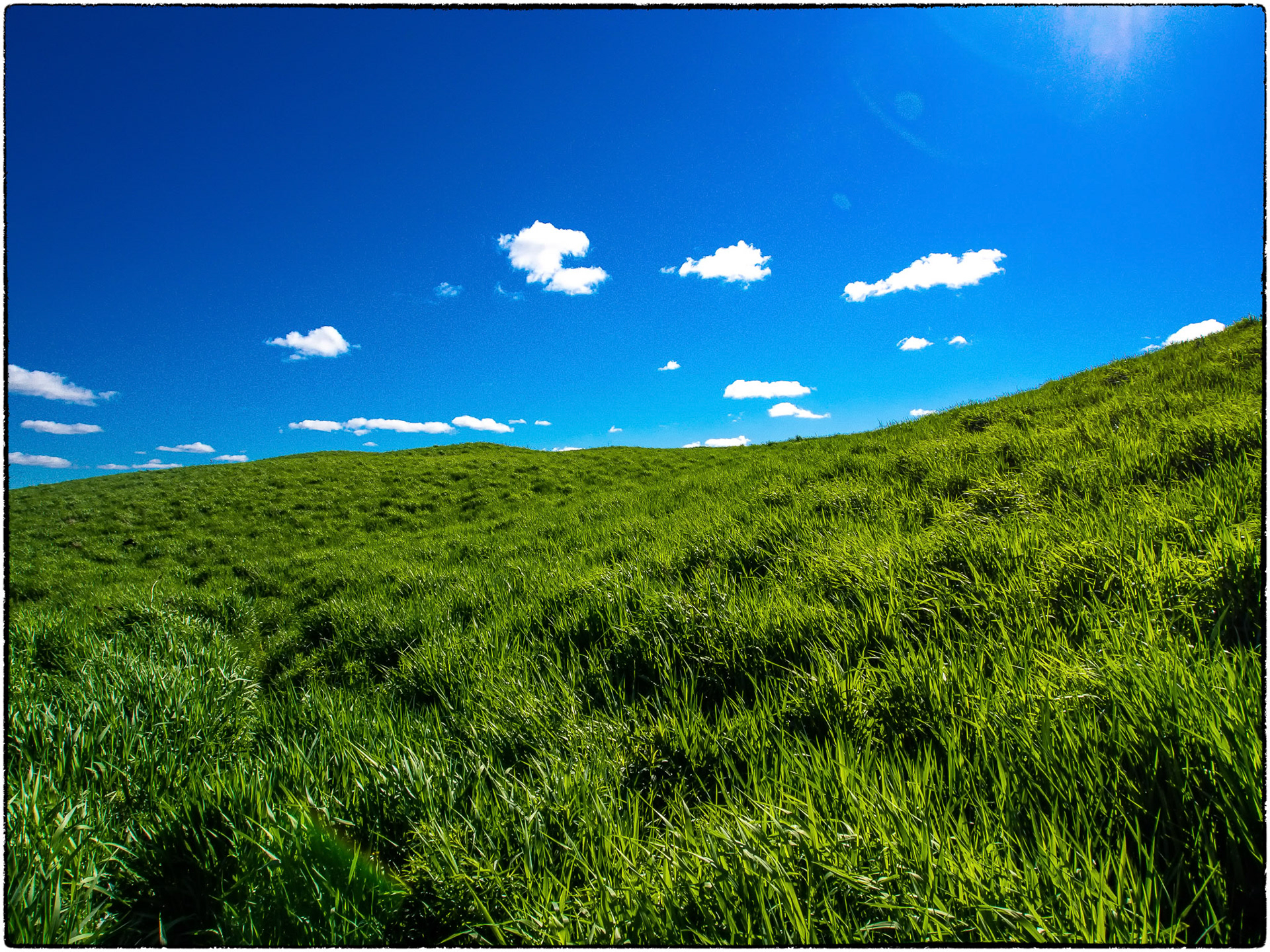 Covered in green grass