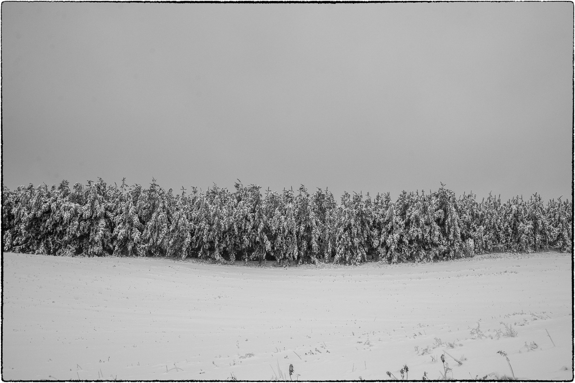 Marking the boundary between white and white