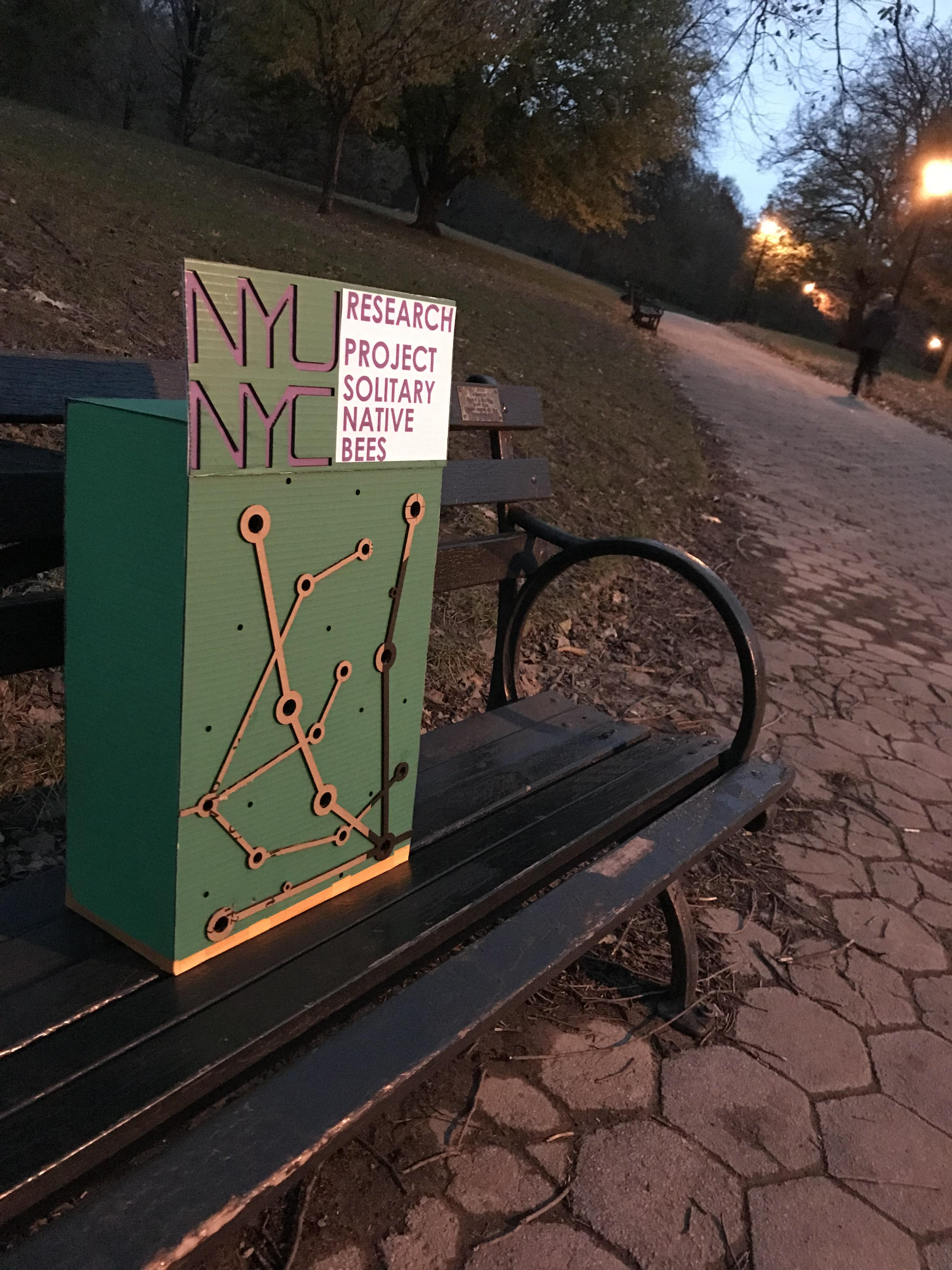 Fig. 14 - Prospect Park, Brooklyn