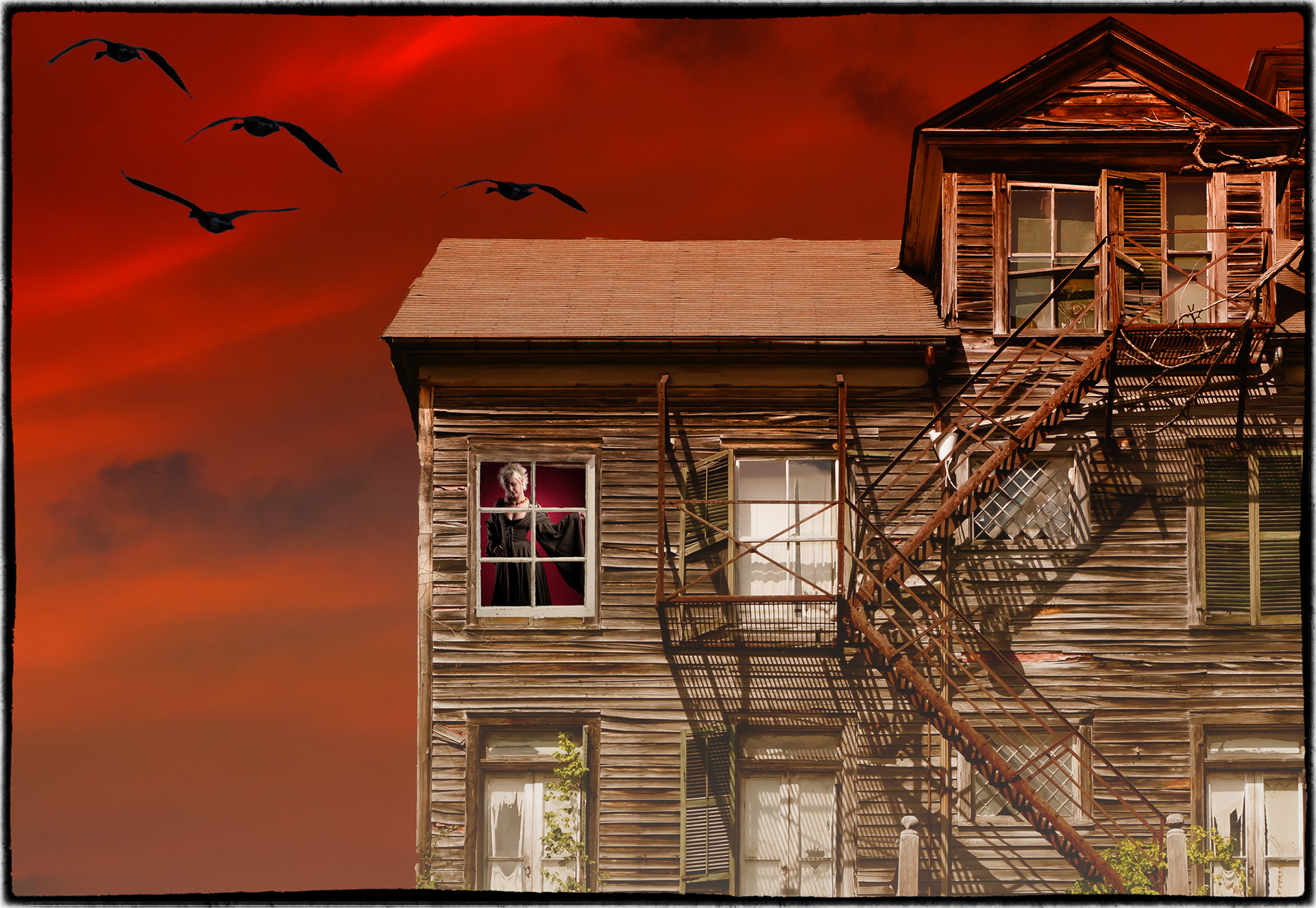 The Woman In The Window