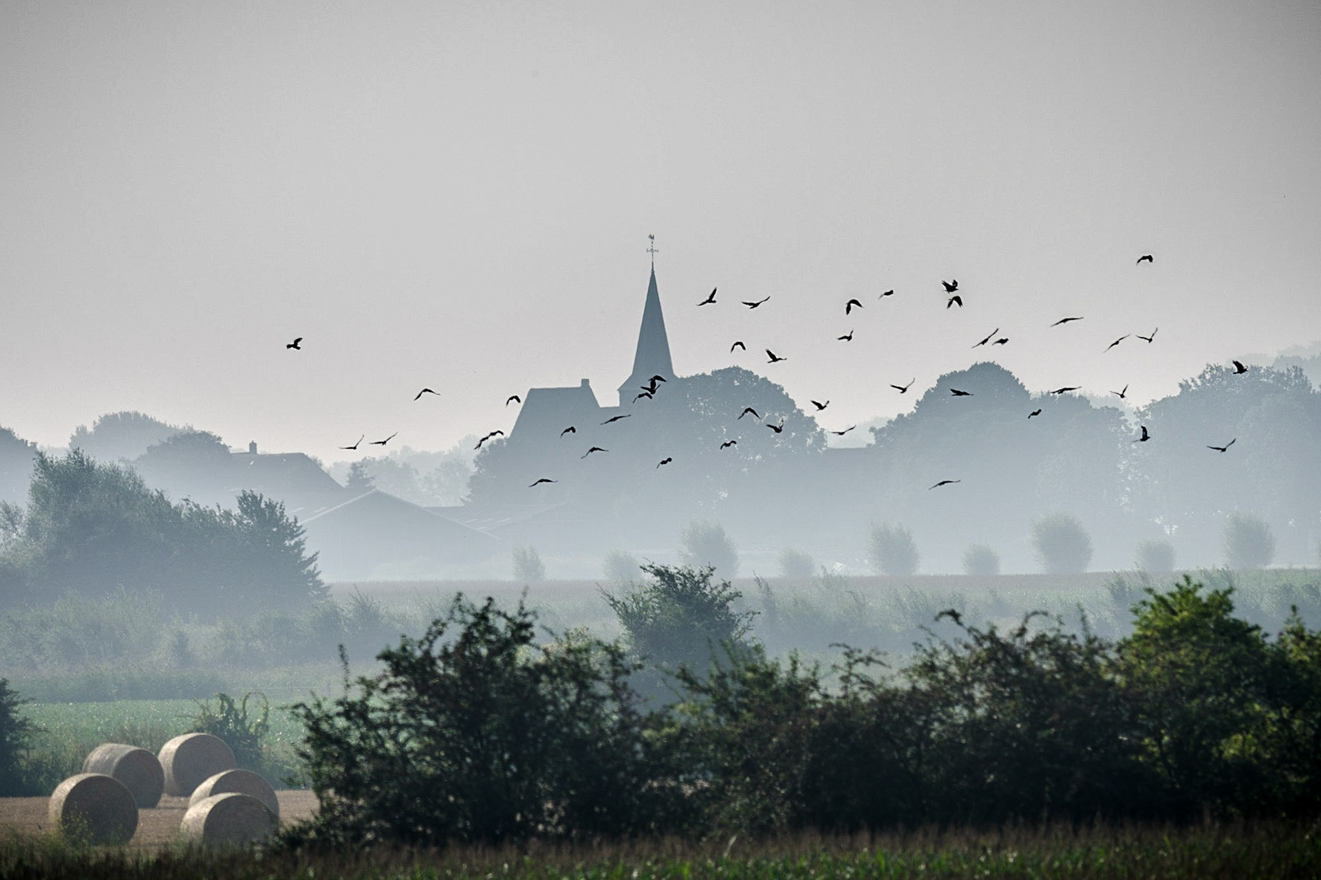 Persingen, Ooijpolder, Nijmegen, The Netherlands