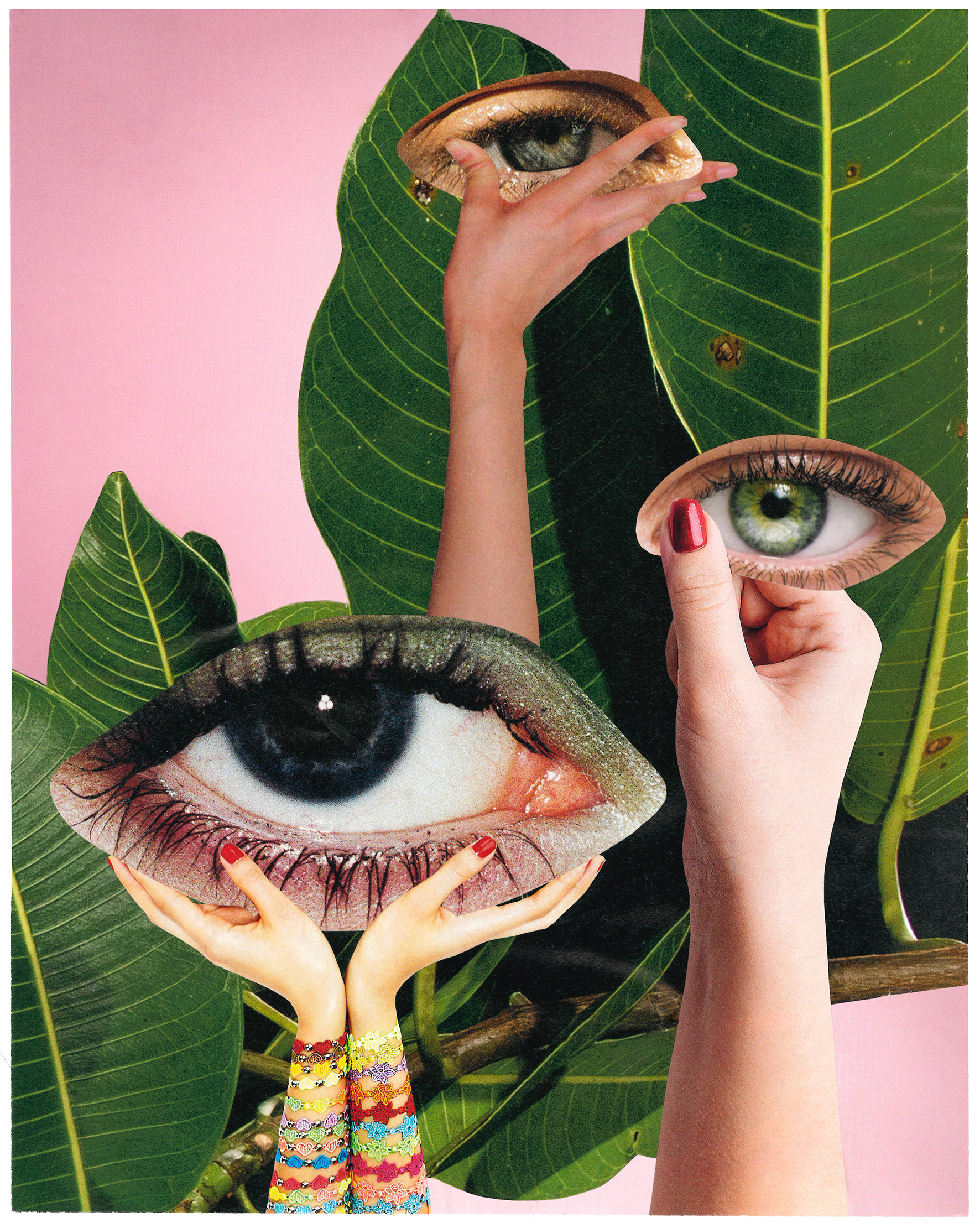 Collage - Jungle