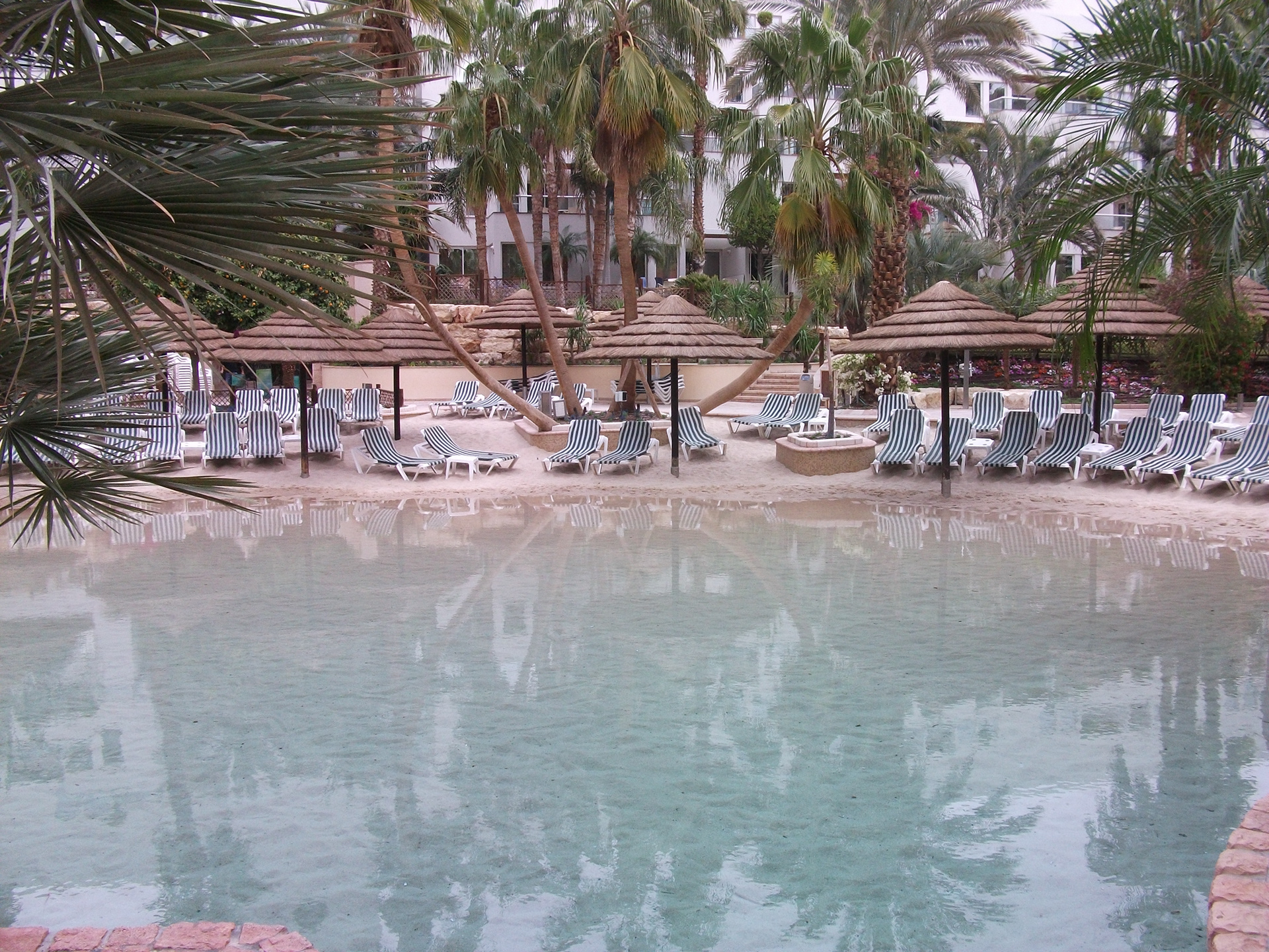 Jan 2010 | Eilat, Israel