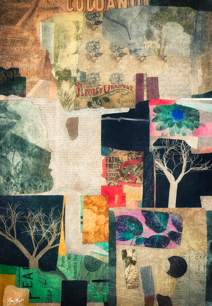 Mixed media collage Art by Gina Startup