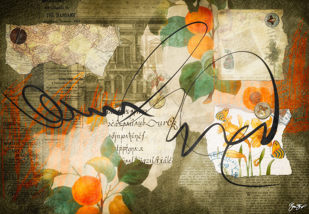 Mixed media collage by Gina Startup