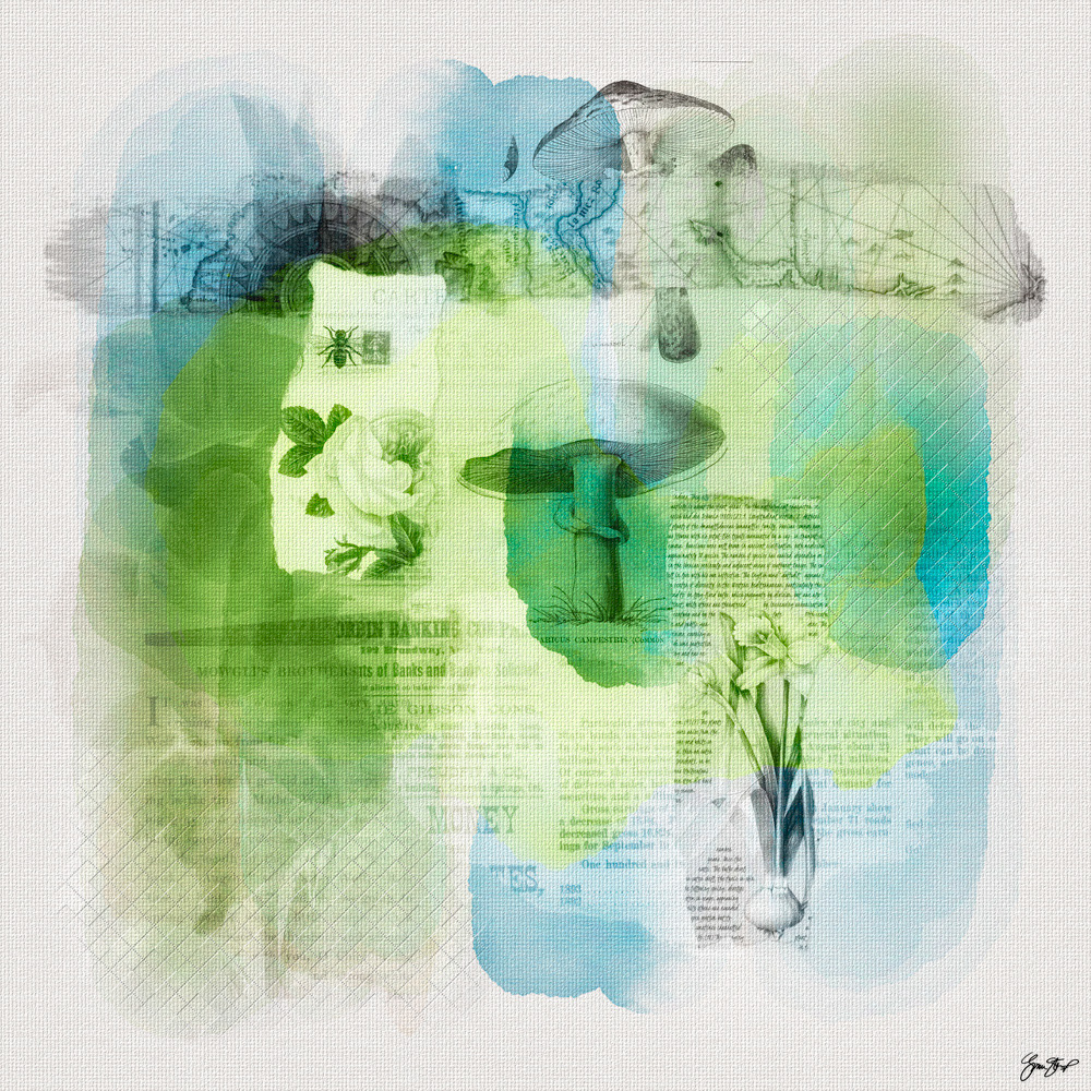 Mixed media Collage art by Gina Startup