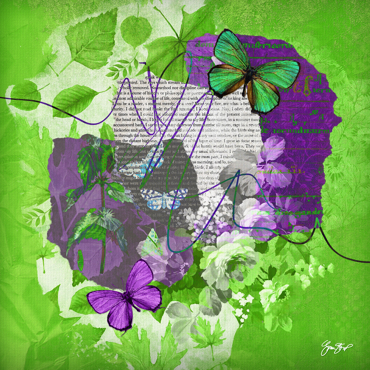 Green Moss by Gina Startup