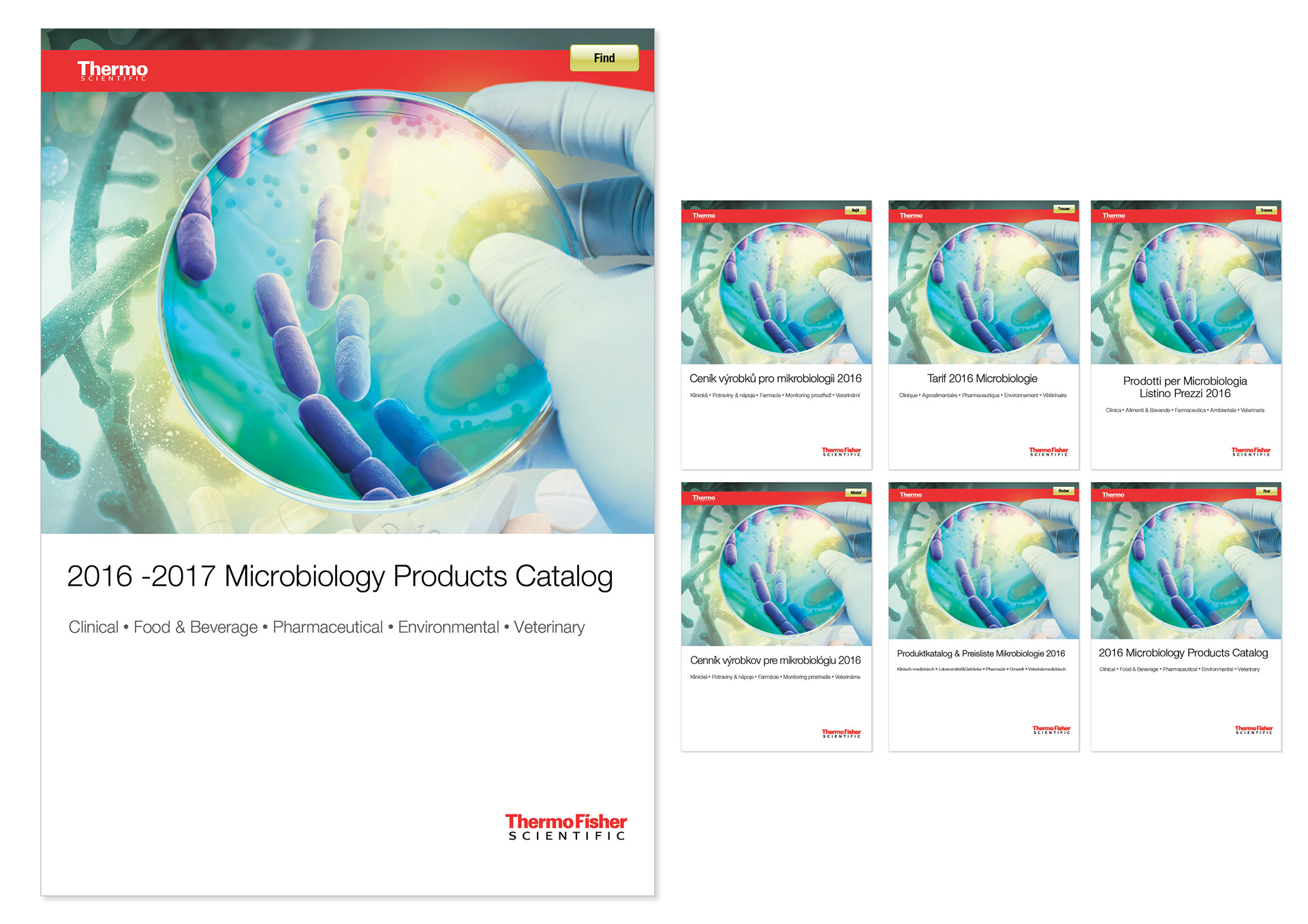 YOTE Design Thermo Fisher Scientific Catalogue Design