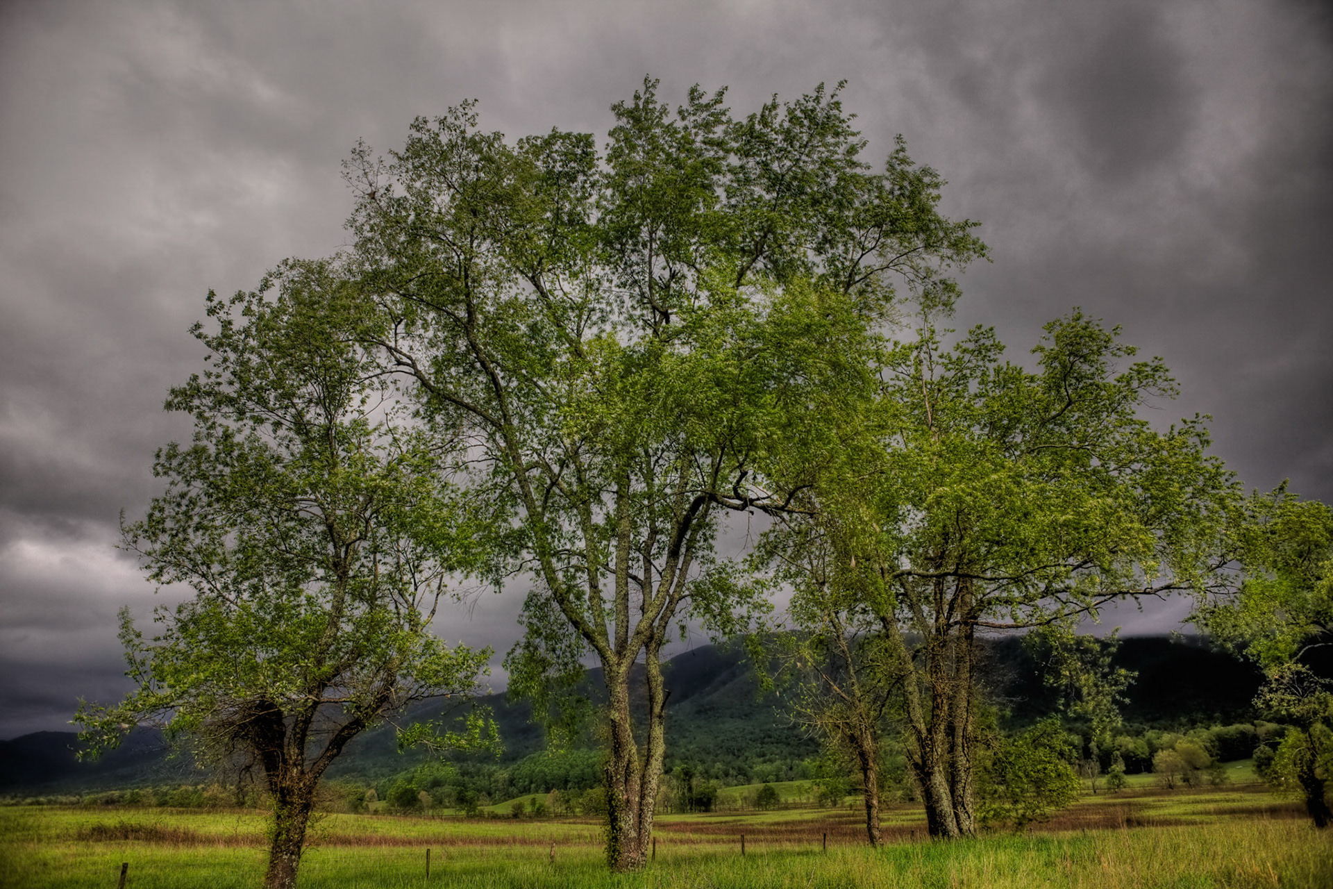 Hyatt Lane - Cades Cove, TN
