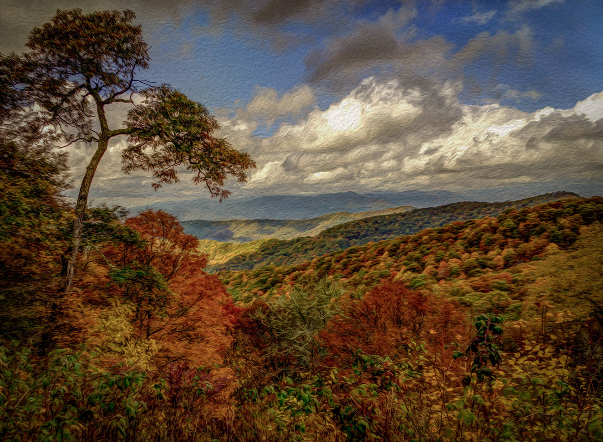 Scene from the Blue Ridge Parkway