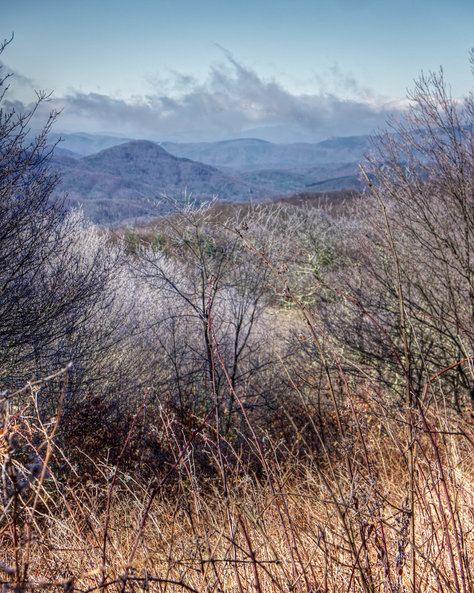 Scene from Max Patch Bald