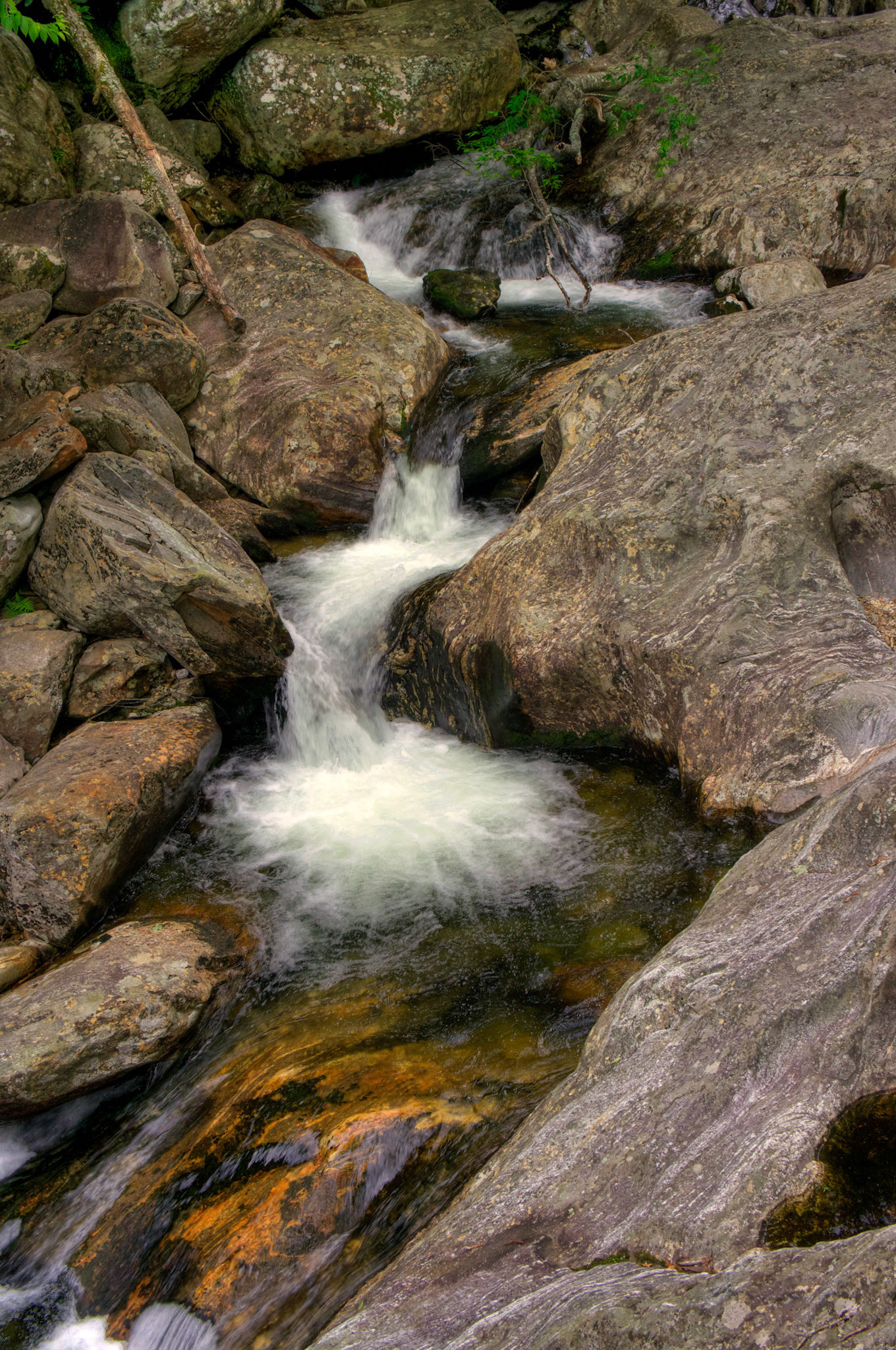 Cascade on Lake Logan Road