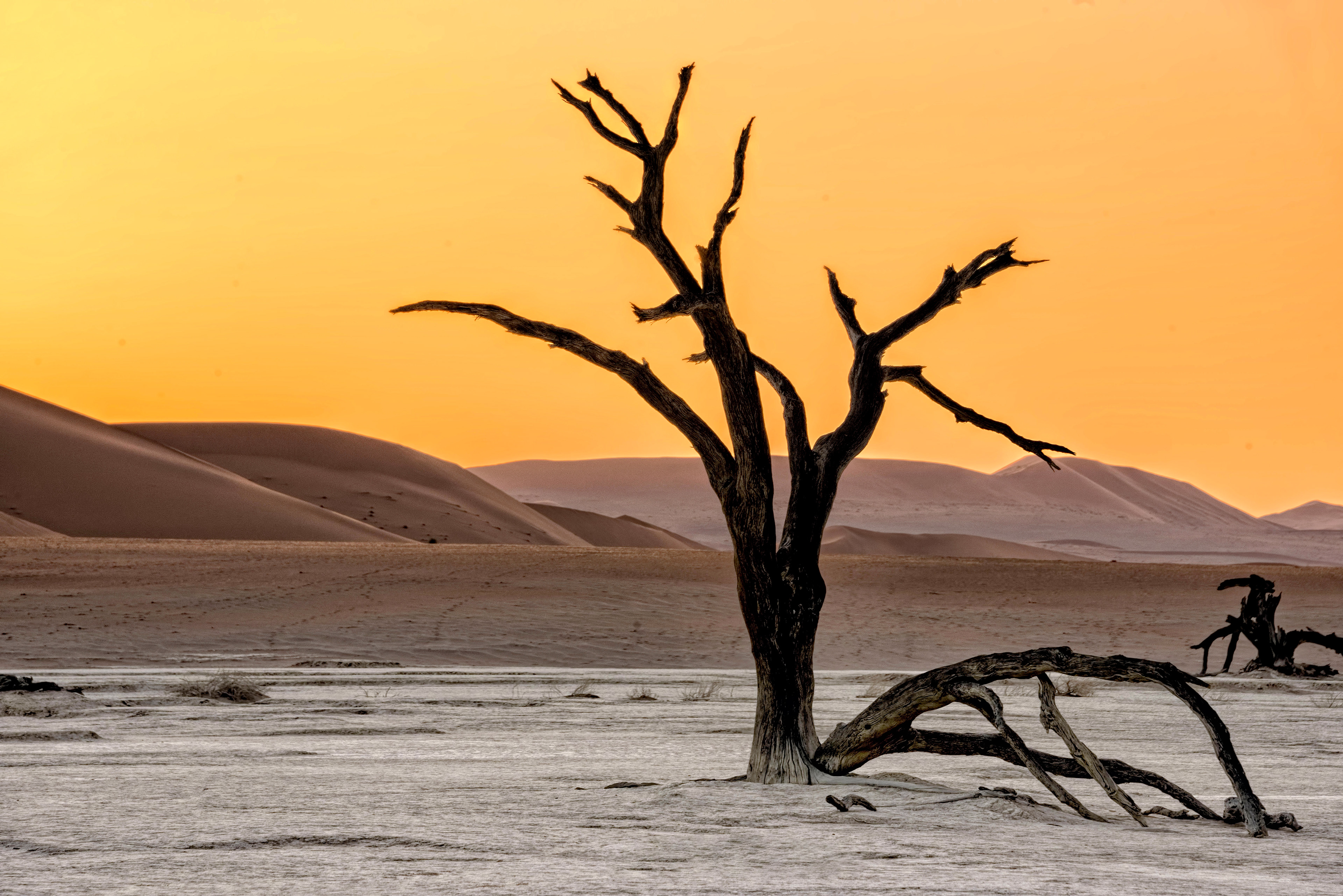 Deadvlei Namibia