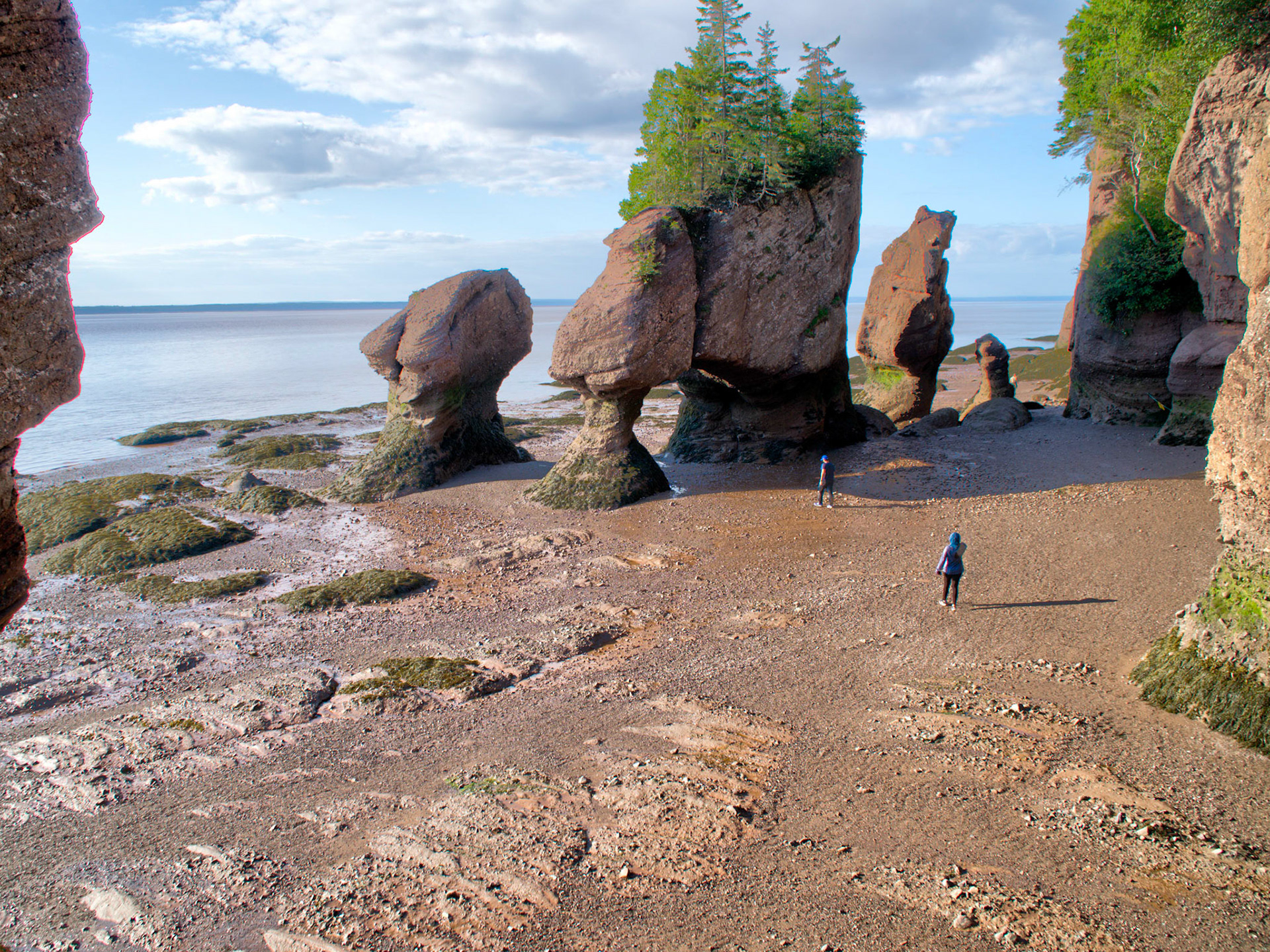 Bay of Fundy has the world's highest tidal range
