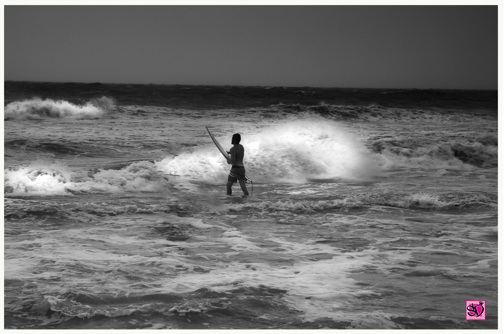 Psalms 89:9 "You rule the raging of the sea; when its waves rise, you still them." Tuesday, 3.31.2020